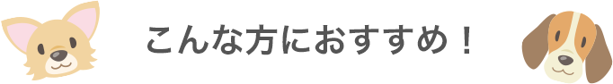 こんな方におすすめ！